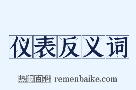 仪表反义词是什么意思的图片